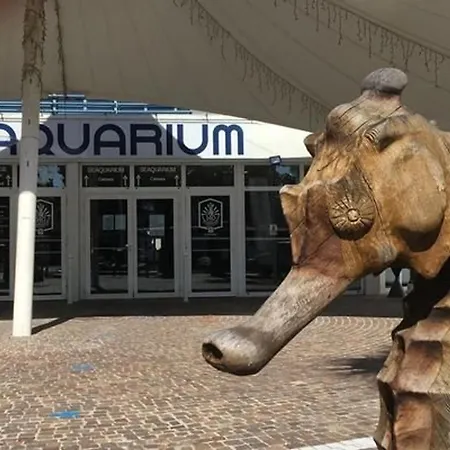 Avec Terrasse, A 550m De La Et 100m Des Commerces, Ideal 4 Pers., Animaux Acceptes - Fr-1-307-156