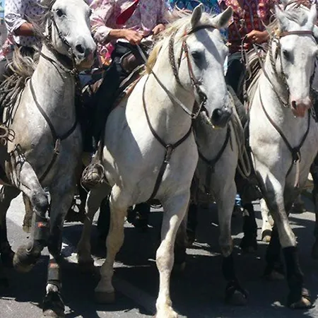 Avec Terrasse, A 550m De La Et 100m Des Commerces, Ideal 4 Pers., Animaux Acceptes - Fr-1-307-156 Le Grau-du-Roi